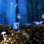 Blaue Schmetterlinge